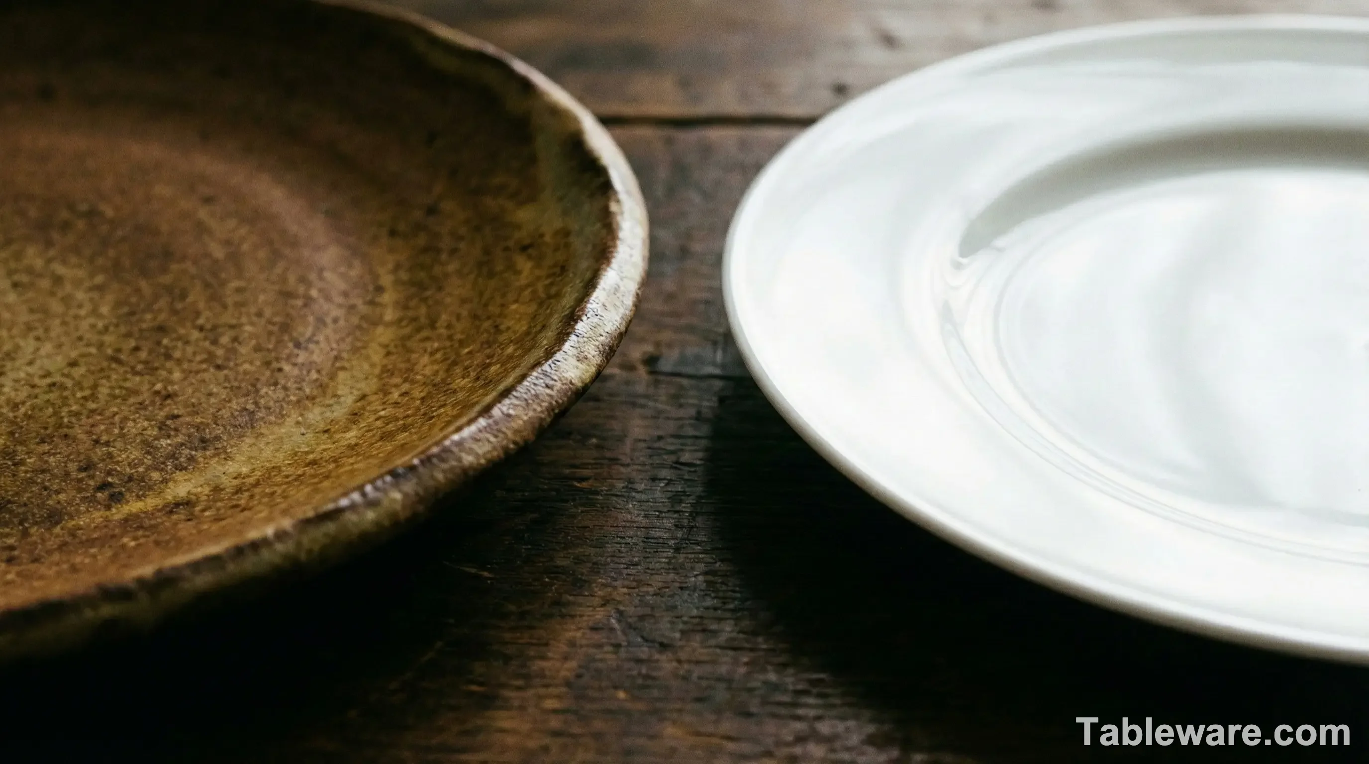 A side-by-side comparison showing the thick, textured edge of a stoneware plate versus the thin, smooth, translucent edge of a bone china plate.