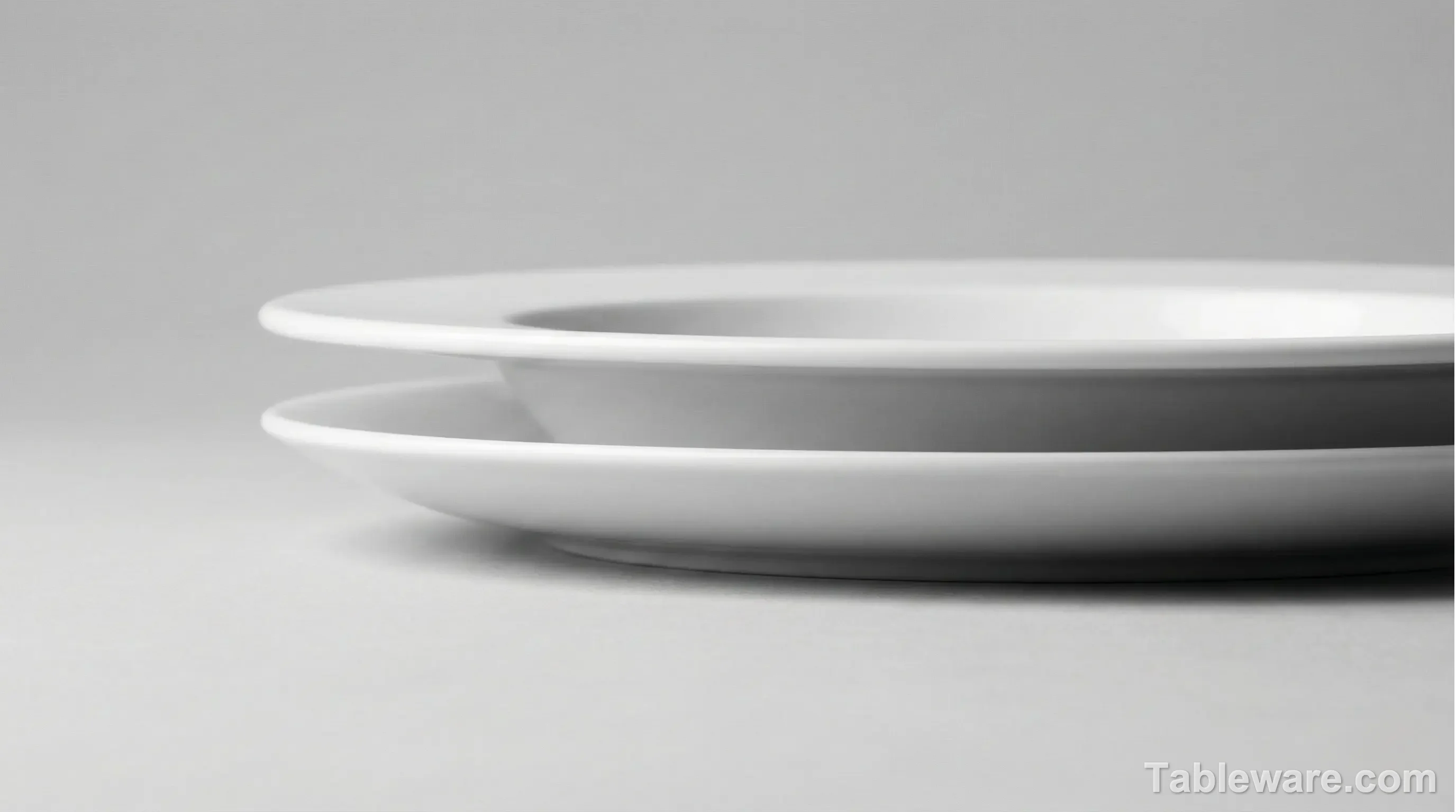 Side profile diagram comparing a traditional wide-rimmed plate with a modern, seamless coupe plate.